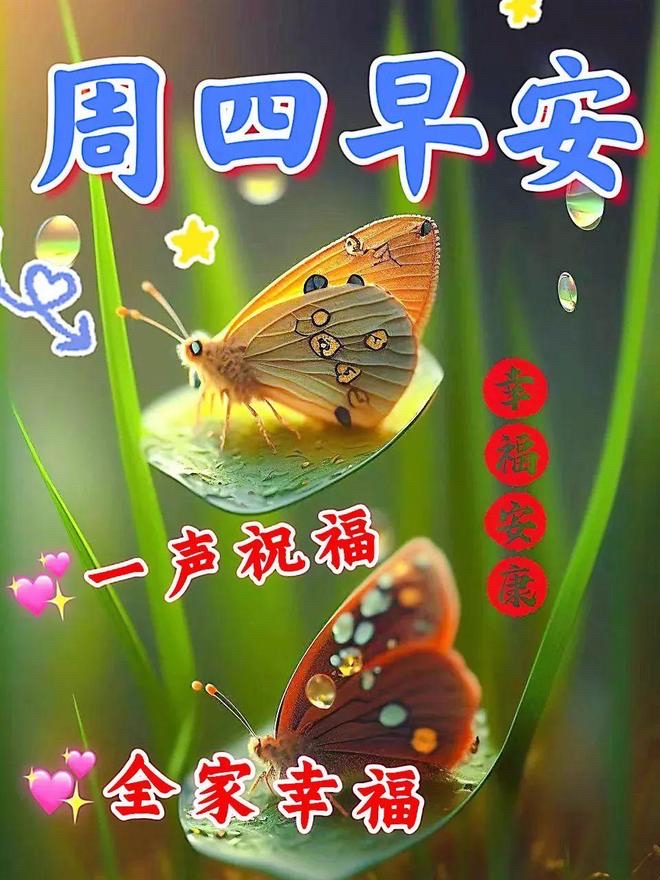 幸福的生活免费观看完整版