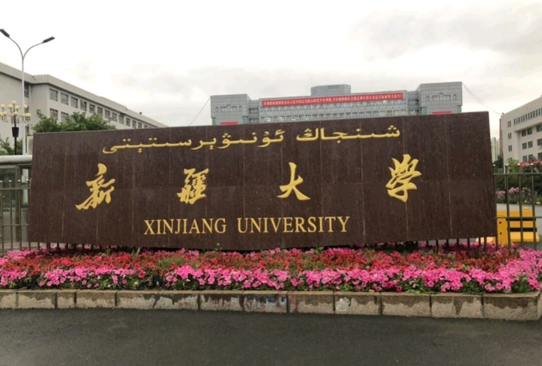 新疆大学有哪些