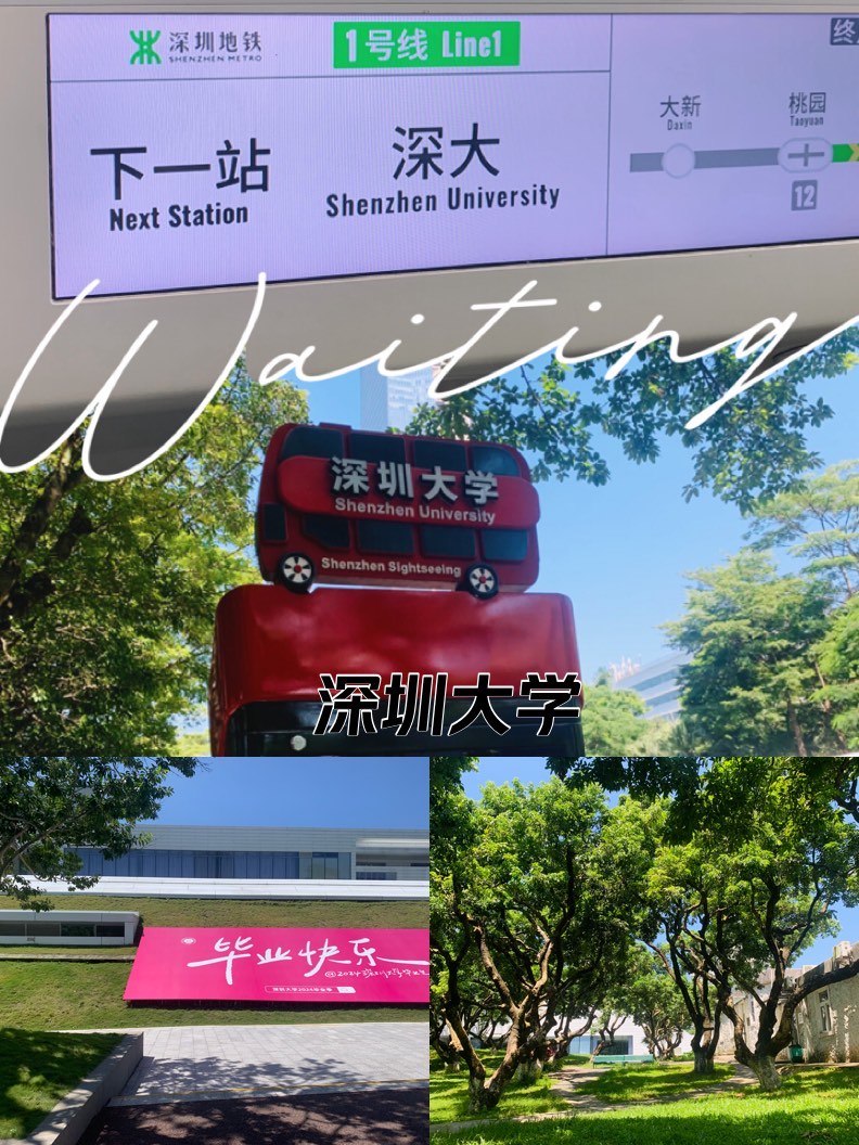 深圳大学全国排名
