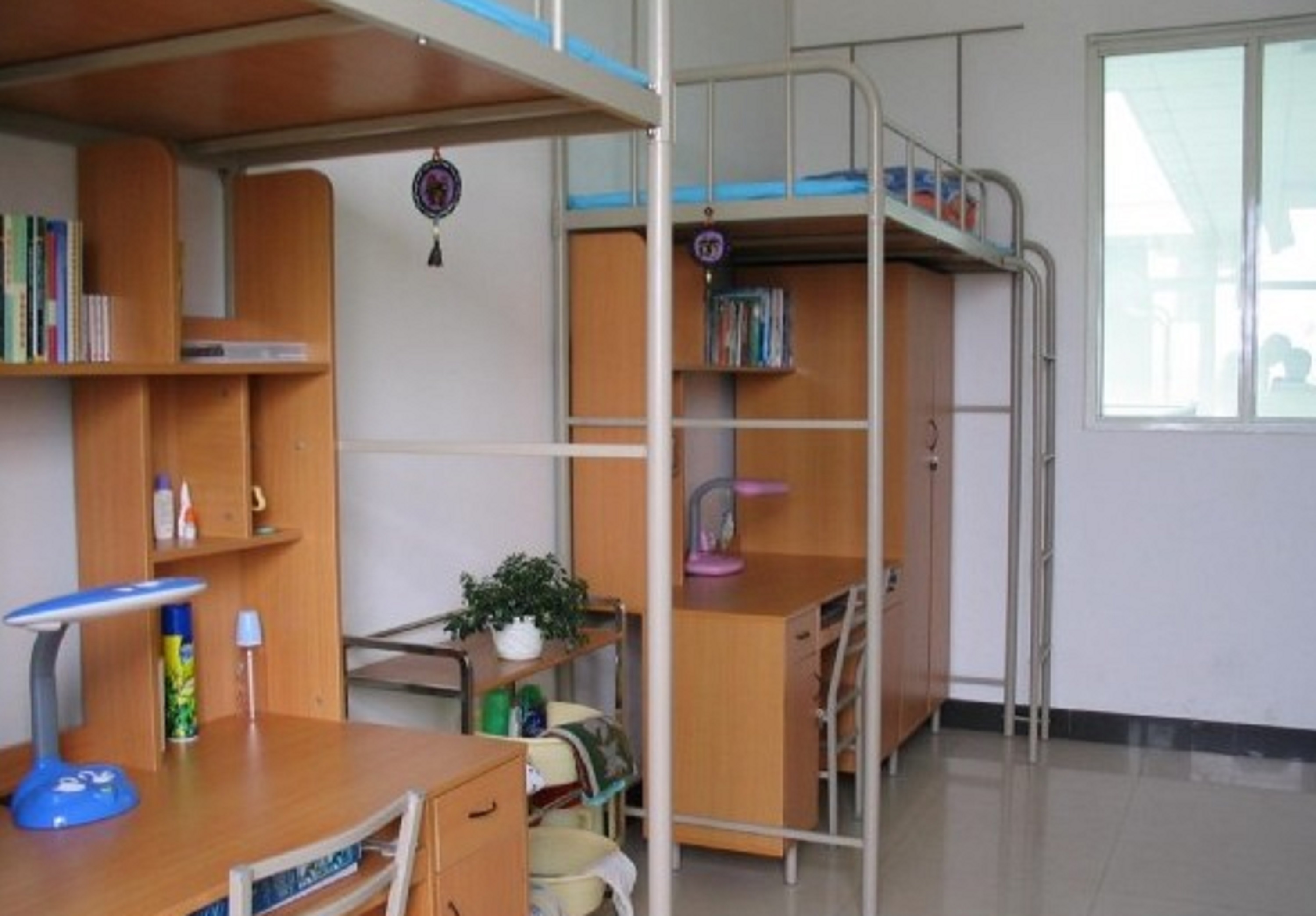 西安电子科技大学文凭报考条件