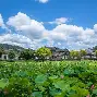 安徽大学毕业证样本图片