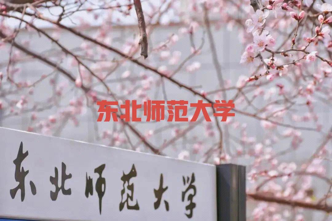 东北师范大学是985还是211