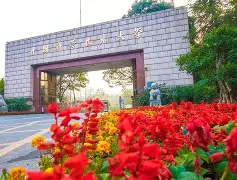 中国科学技术大学毕业去向