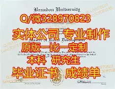 西南大学文凭有用吗