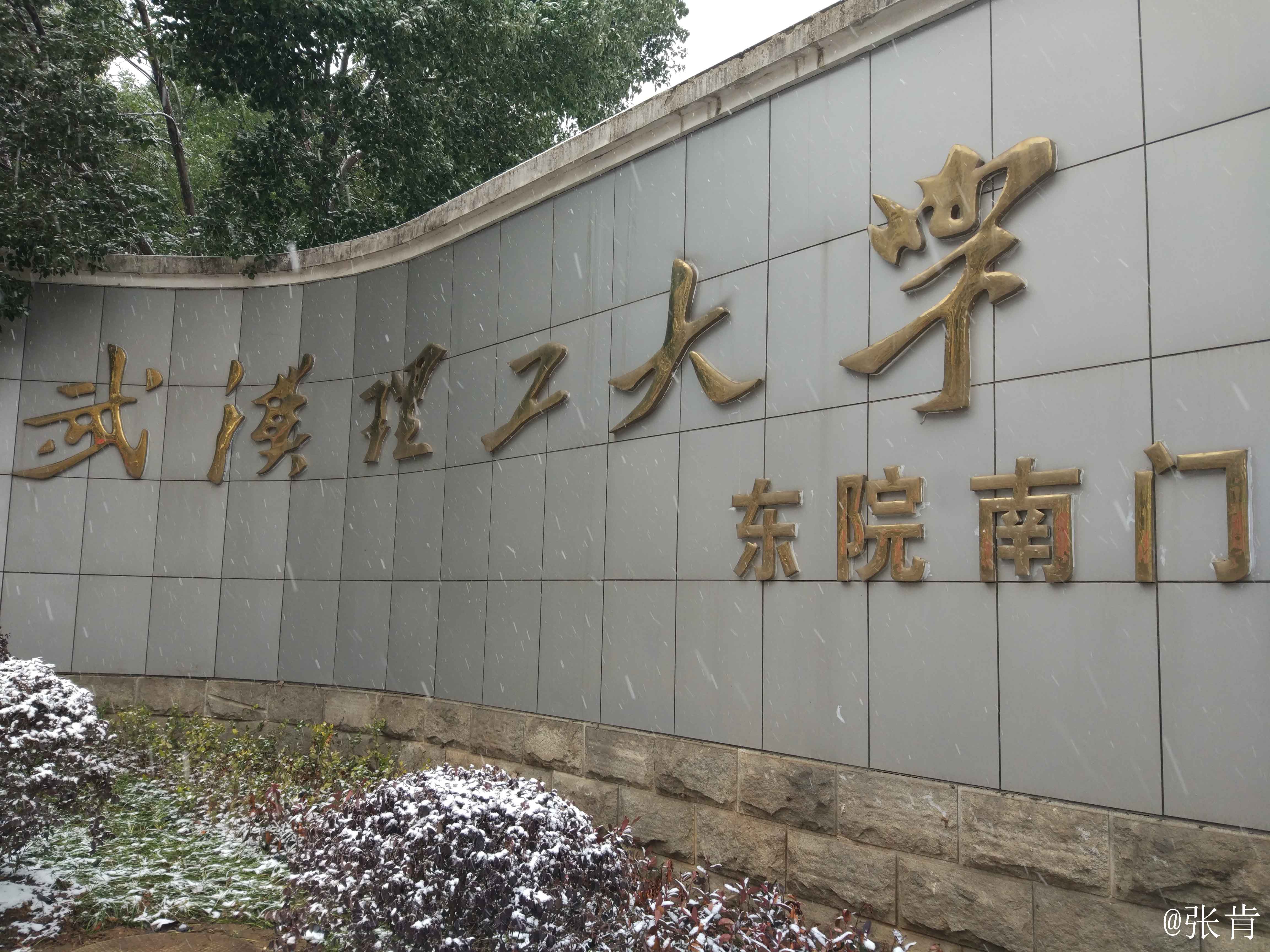 武汉理工大学毕业证图片