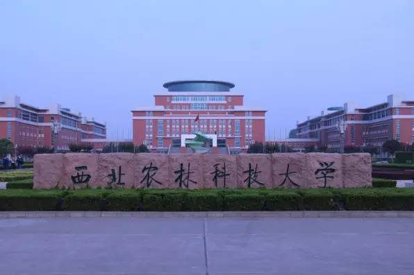 西北农林科技大学本科毕业要求