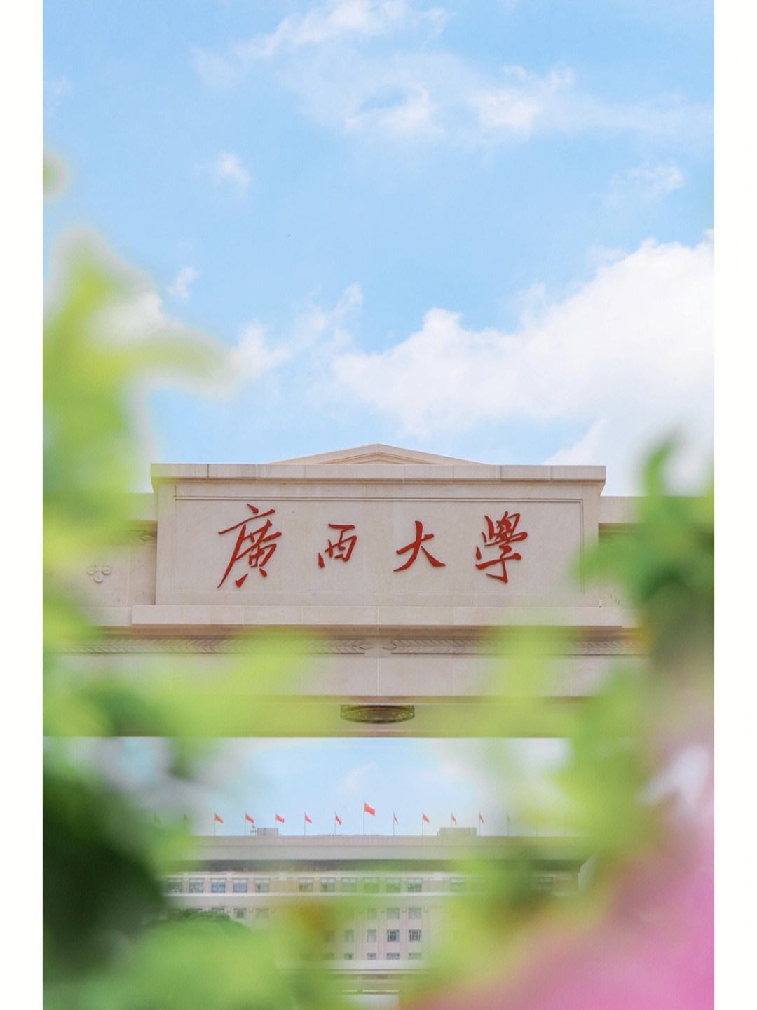 广西大学官网