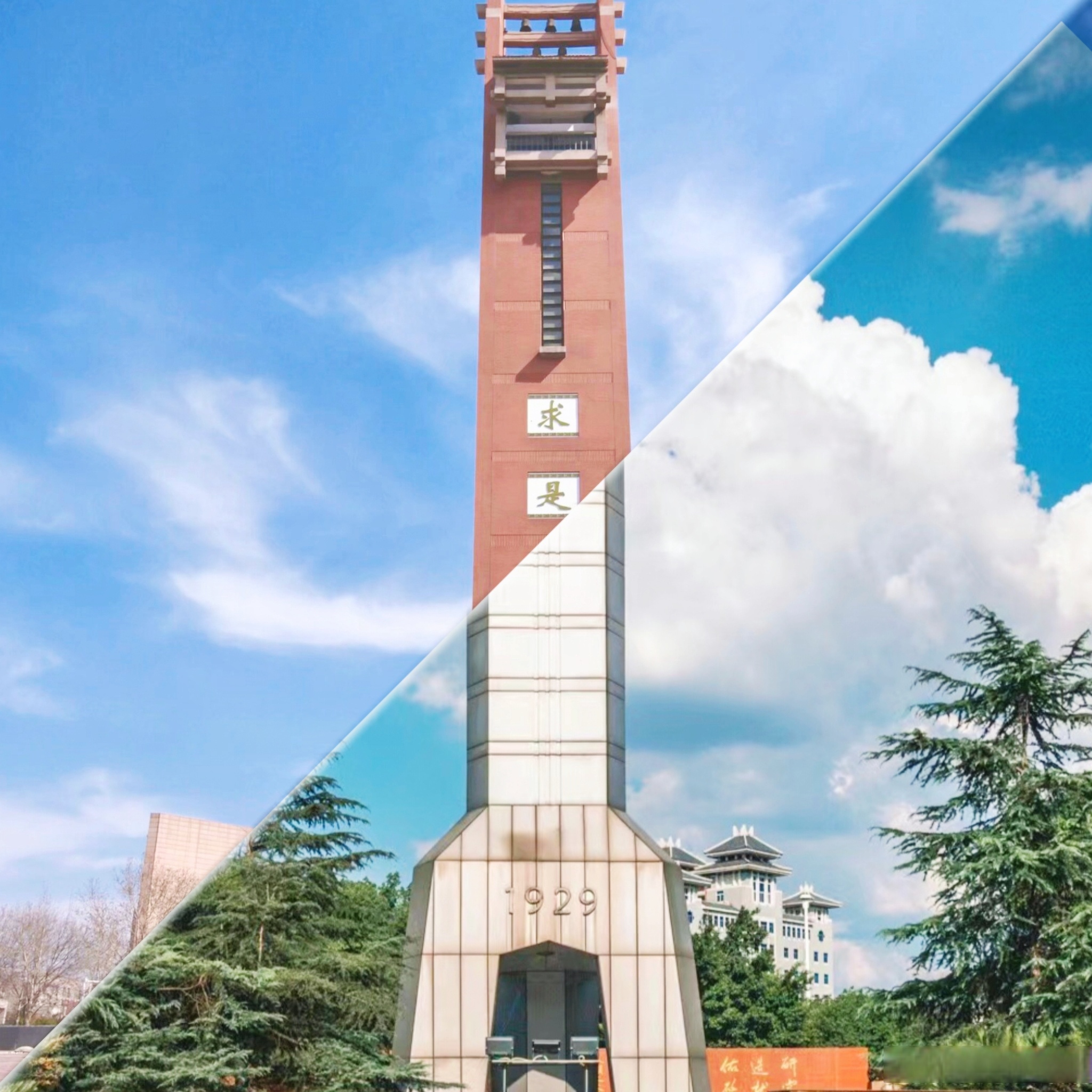 重庆大学官网