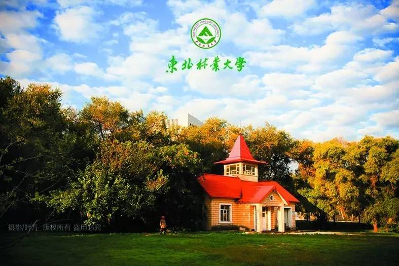 东北林业大学毕业条件