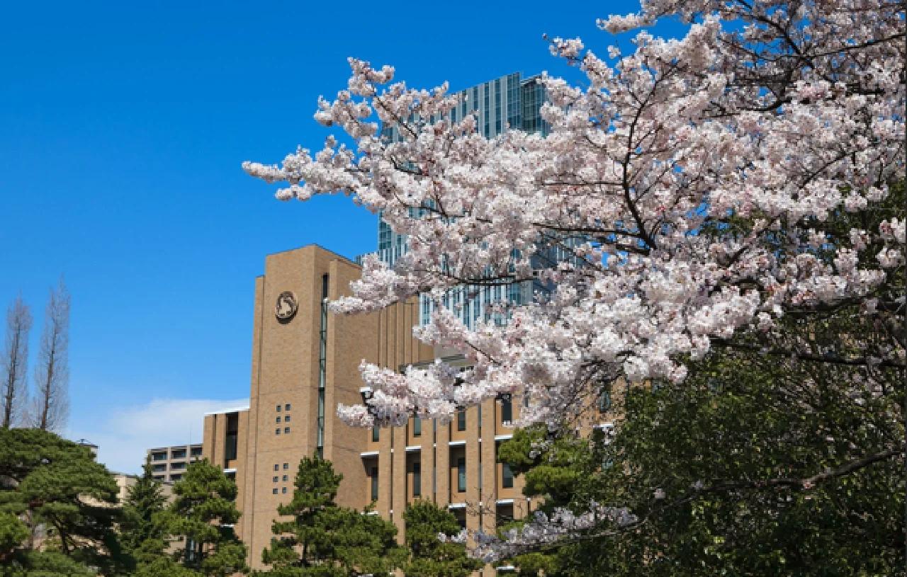 东北大学6名学生在内蒙古