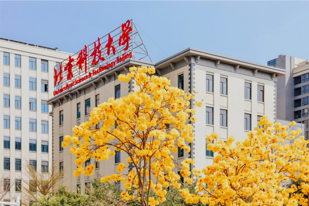 北京科技大学官网