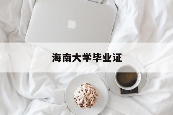 海南大学毕业证补办流程